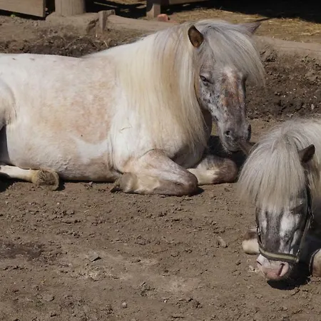 Διαμέρισμα Auf Einem Richtigen Bauernhof Finkenstein am Faaker See