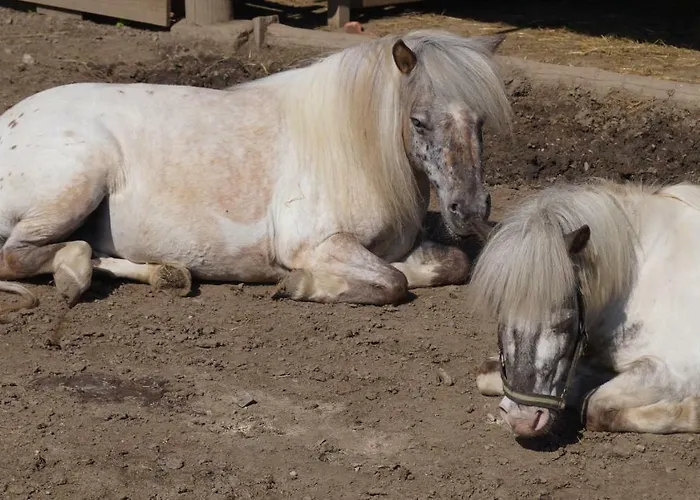 Apartment Auf Einem Richtigen Bauernhof Finkenstein am Faaker See